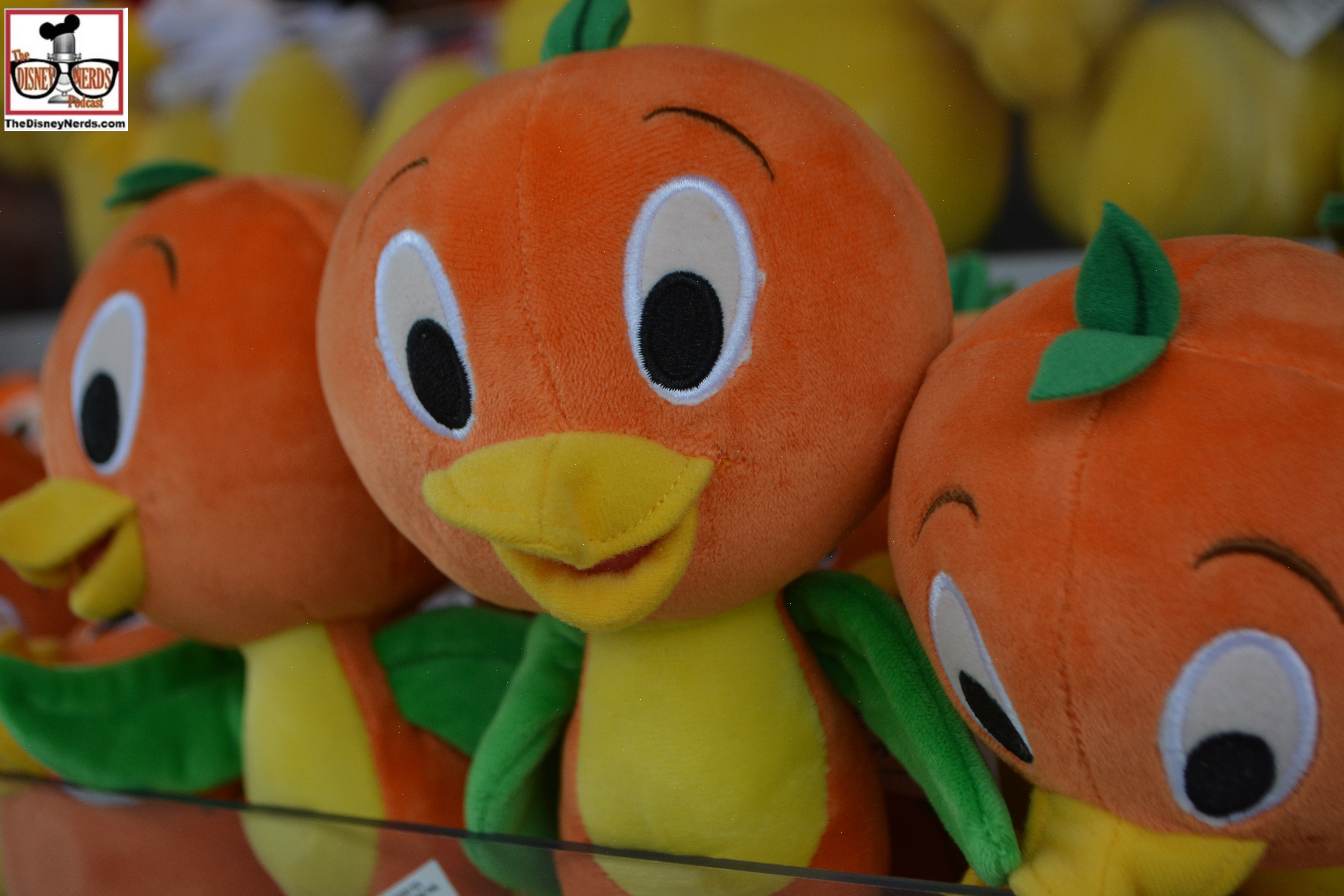 Maybe a Little Orange Bird land is in the works??