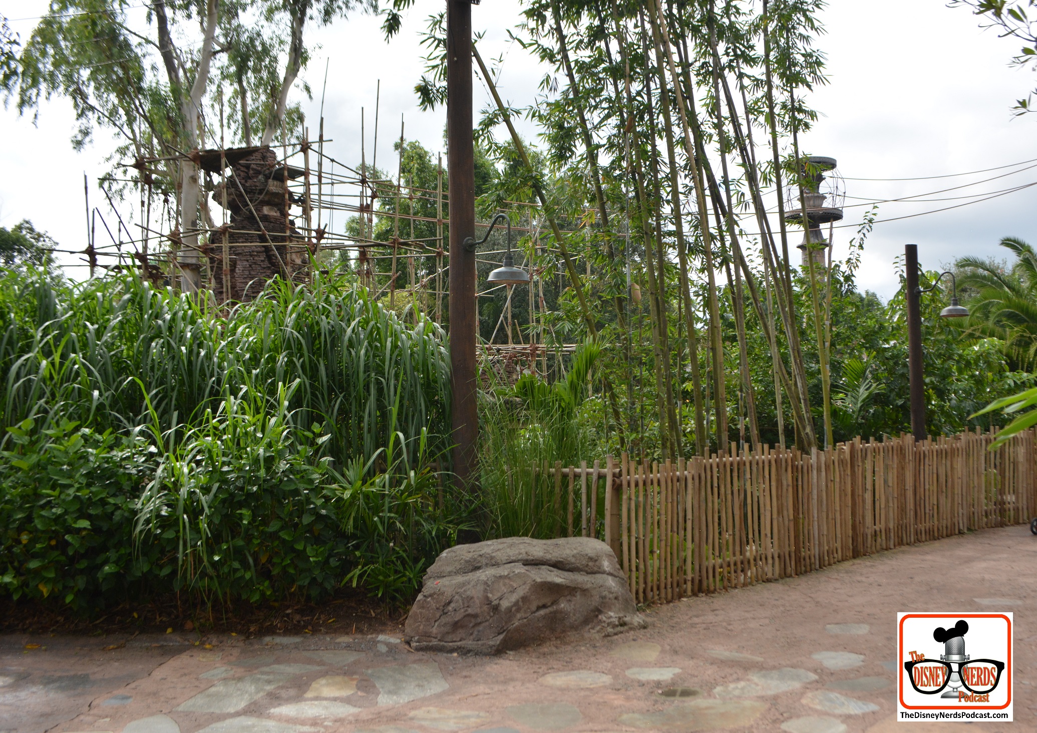 A new pathway recently opened at Disney Animal Kingdom - The Monkey's are to the left, the path leads behind the monkeys to Kali River Rapids - it also provides additional viewing locations for the Monkeys