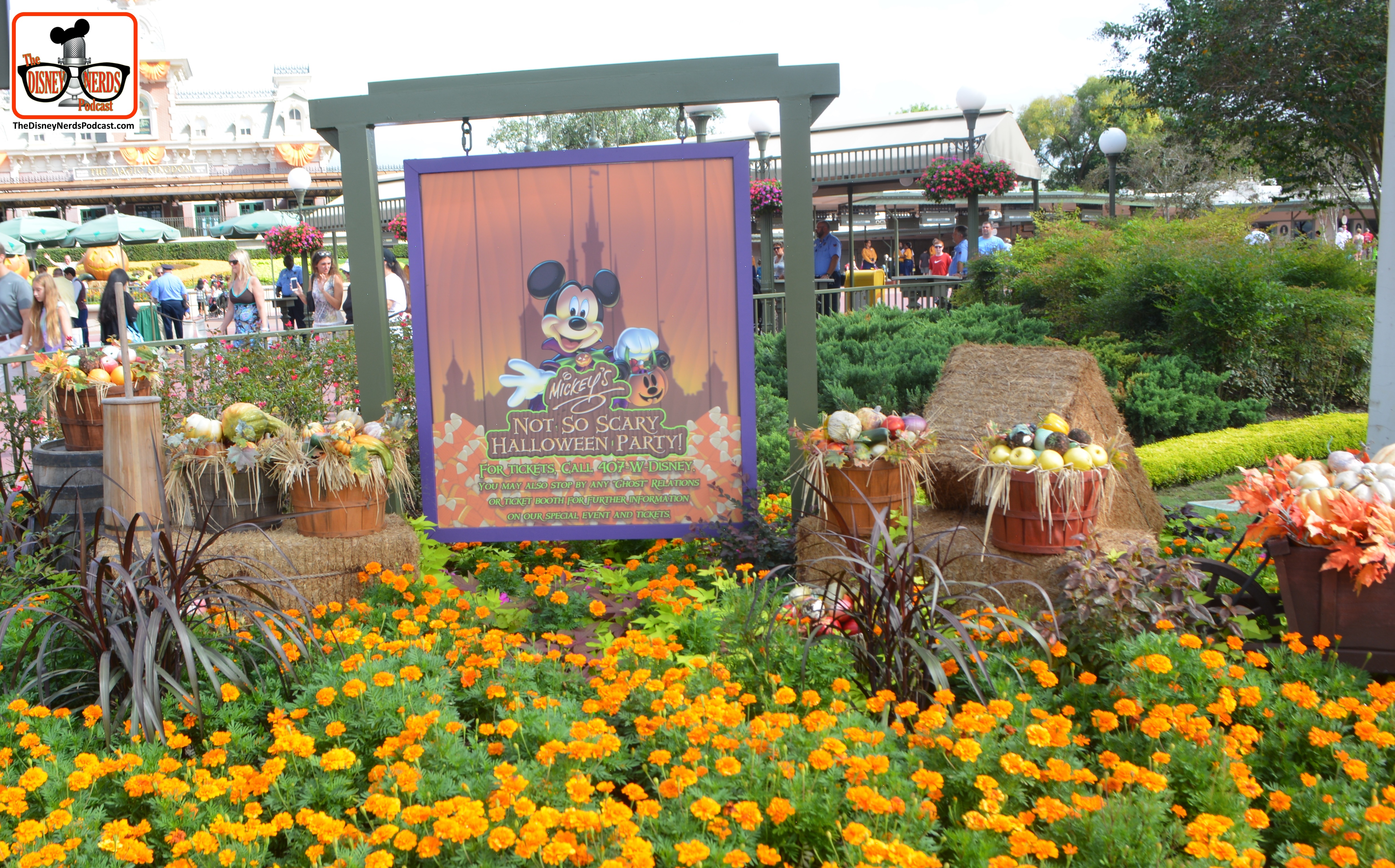 Fall is in the air at magic Kingdom