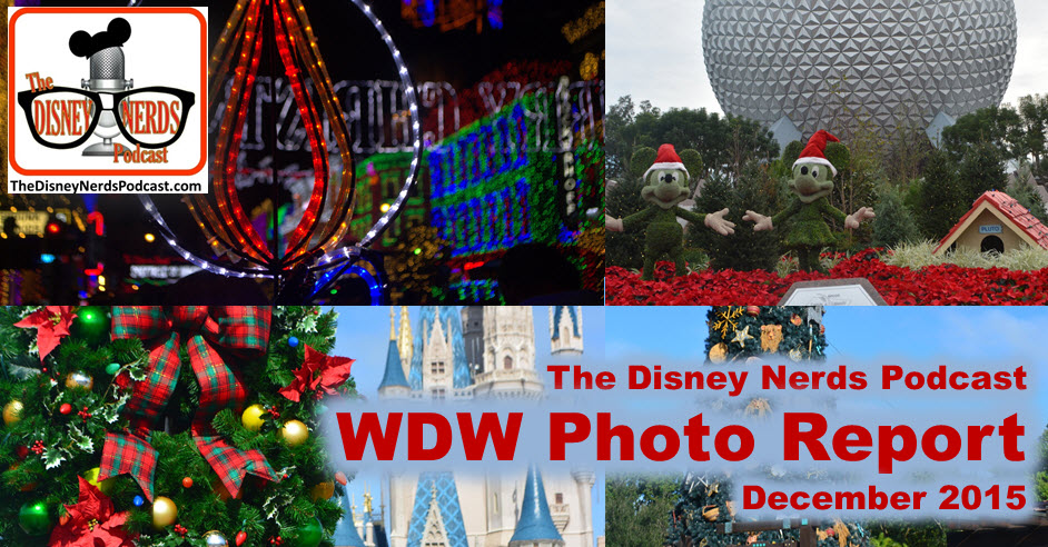 The Disney Nerds Podcast December 2015 Photo Report