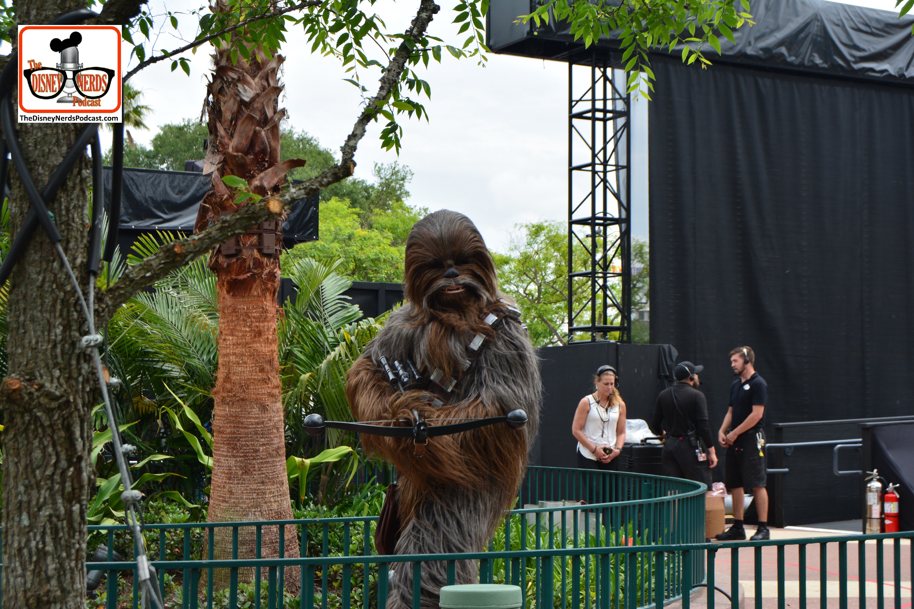 DNP April 2016 Photo Report: Hollywood Studios: Chewy prepares to enter the stage for the "Galaxy Far, Far away stage show."