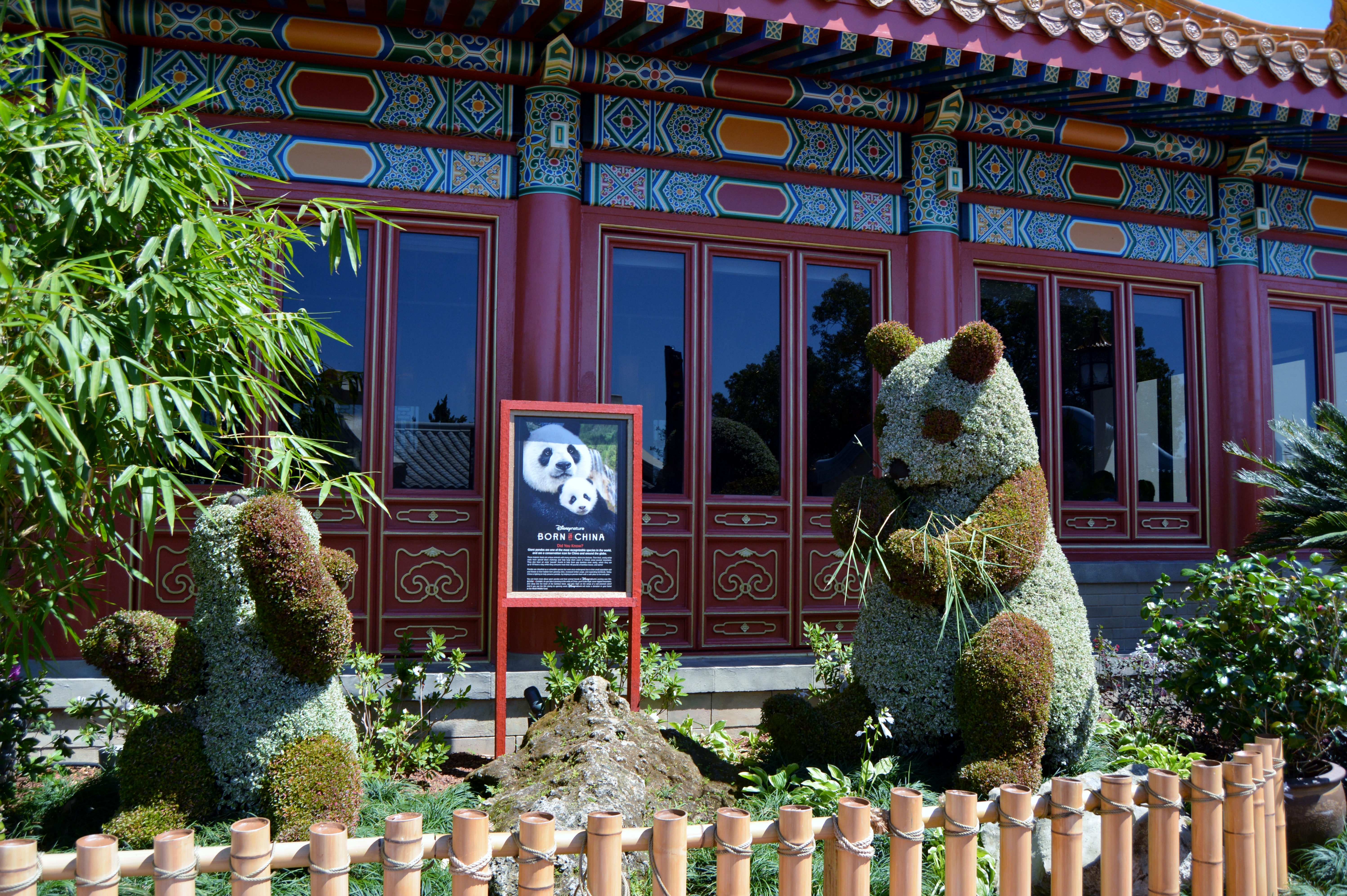Born in China - at the Epcot Flower and Garden Festival