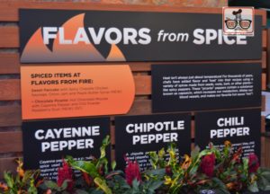 Flavors from Fire - New for 2017 - is part of the Future World West
