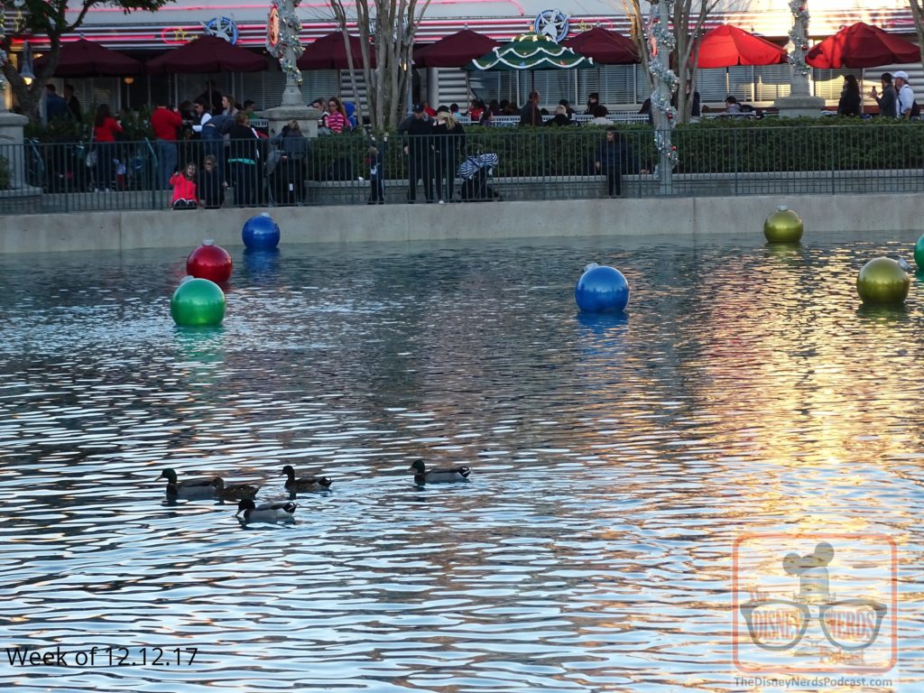 Good things take time, including the water level rise in Echo Lake. One month later if you have been counting, the water level is perfect for that new holiday display.