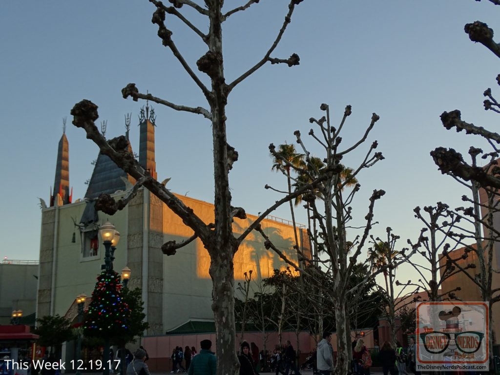 Take note of those lamp posts at the steps to the right of the Chinese Theater. The Park has just added new Christmas decorations. In this same area you will have an even better view of the night time fireworks since many of the landscape trees have lost their leaves for the winter.
