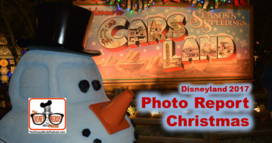 The Disney Nerds Podcast Disneyland Christmas Photo Report 2017
