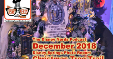 The Disney Nerds Podcast December 2018 Christmas Tree Trail Photo Report