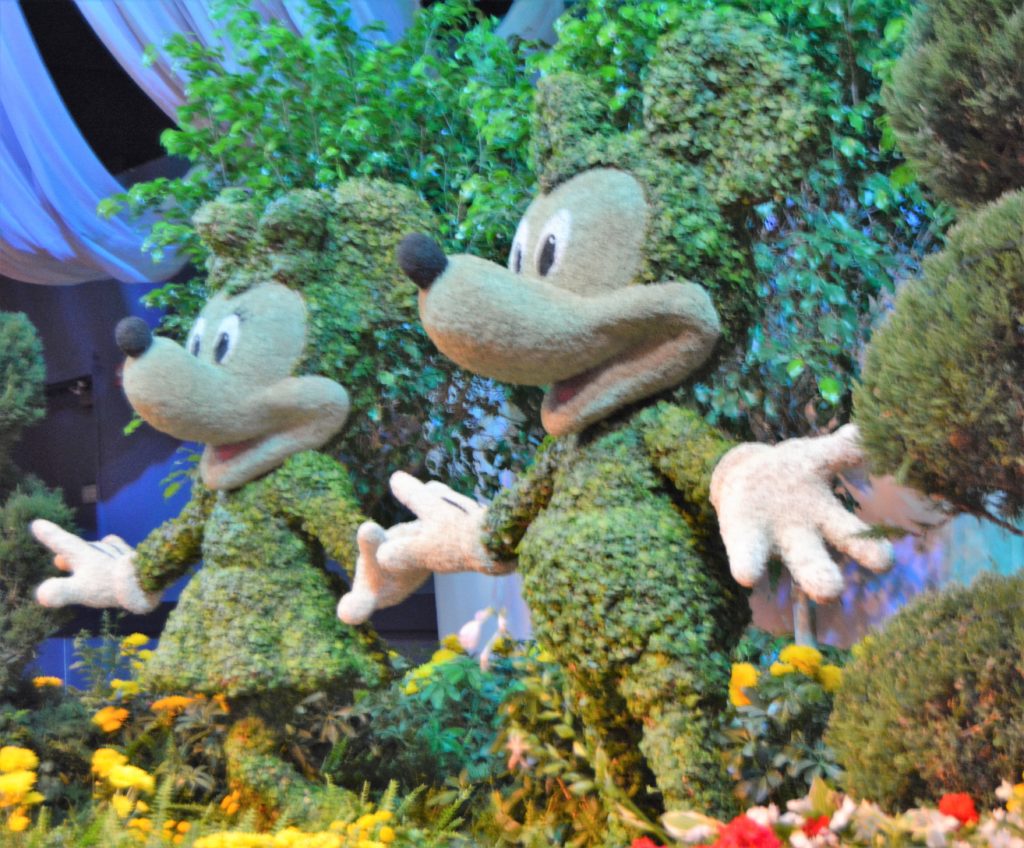 2019 Epcot Flower and Garden Festival Media Preview - Mickey and Minnie Topiaries in the Media Preview Center