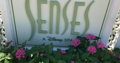 Senses at the Grand Floridian Walt Disney World Products