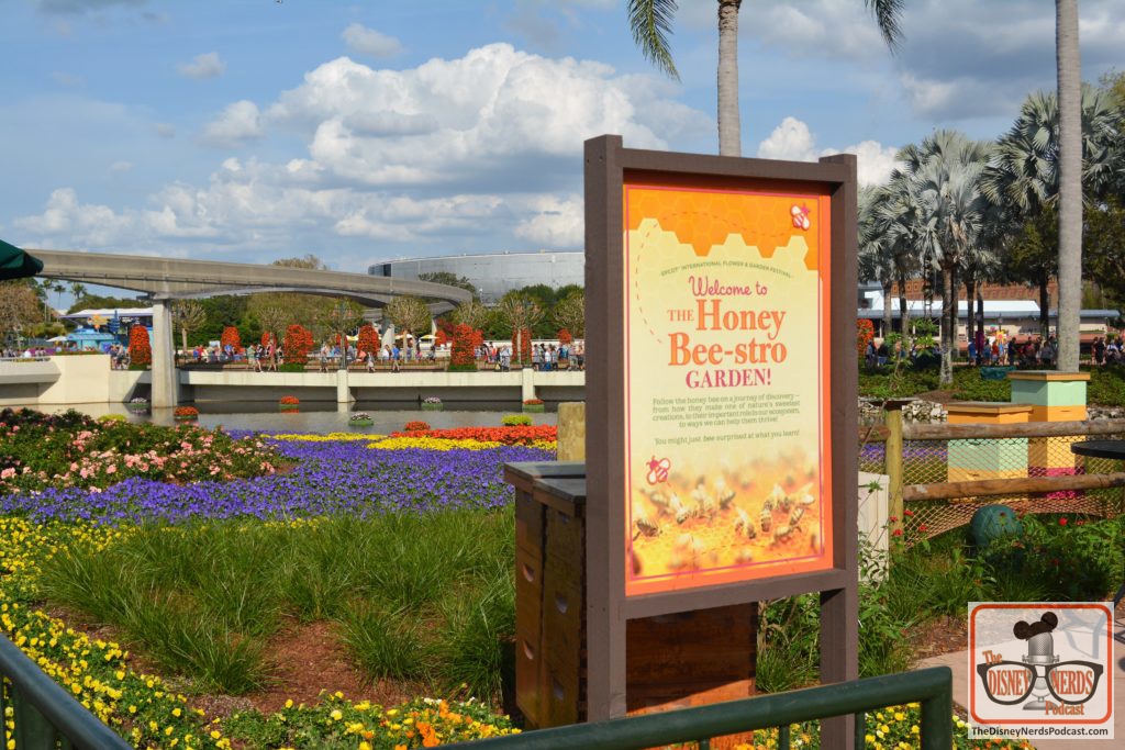 The Disney Nerds Podcast March 11, 2019 Epcot Flower and Garden Photo Report - The Honey Bee-stro Garden