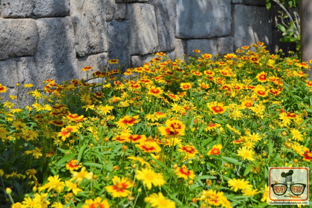 The Disney Nerds Podcast March 11, 2019 Epcot Flower and Garden Photo Report - Flower Garden near Canada