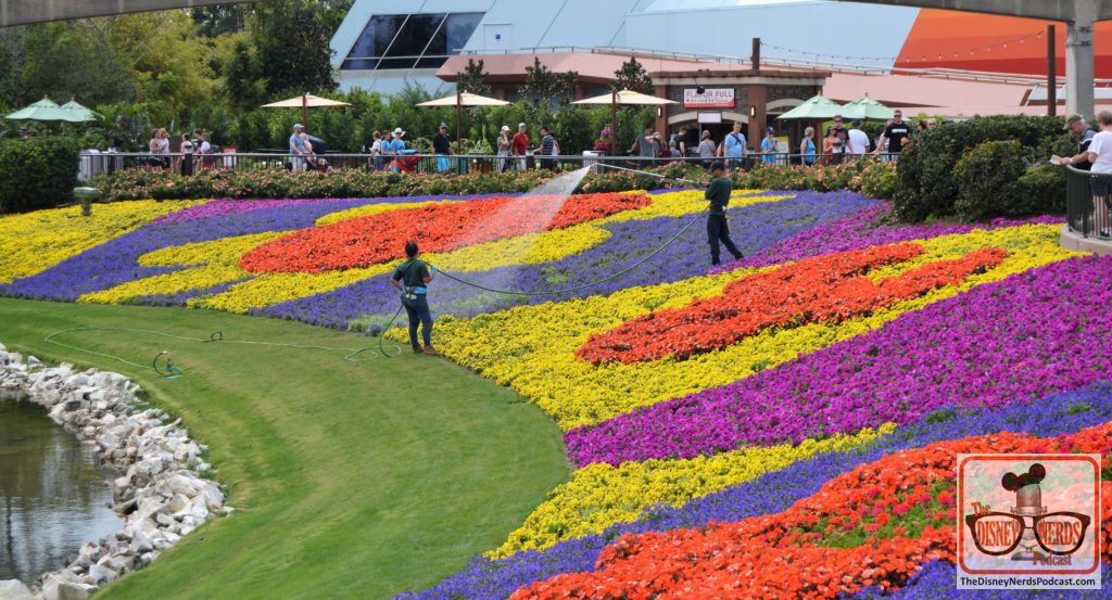 The Disney Nerds Podcast March 11, 2019 Epcot Flower and Garden Photo Report - Even the Festival Blooms need attention.