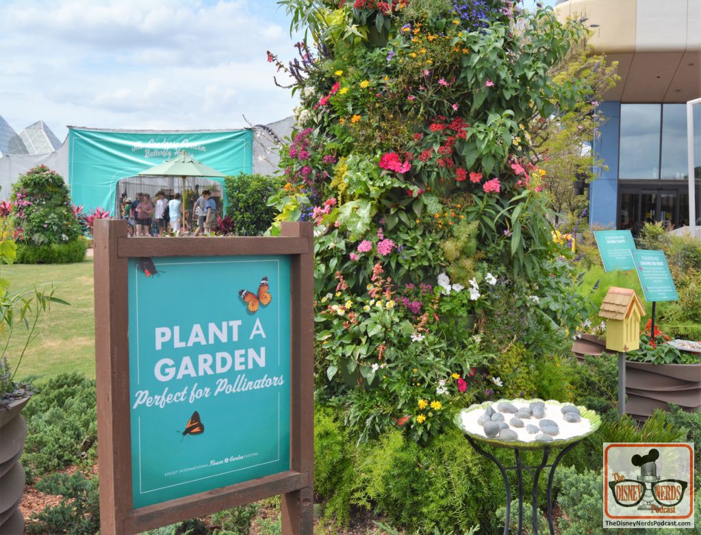 The Disney Nerds Podcast March 11, 2019 Epcot Flower and Garden Photo Report - Plant a Garden Display near the Butterfly House