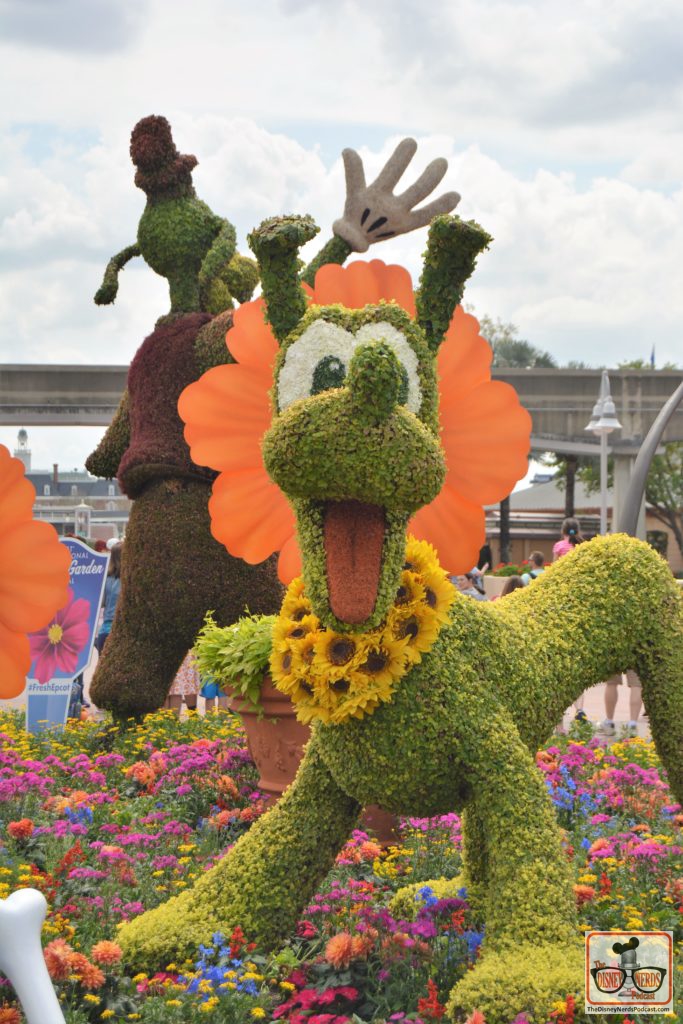 The Disney Nerds Podcast March 11, 2019 Epcot Flower and Garden Photo Report - Topiaries - Pluto and Goofy in Showcase Plaza