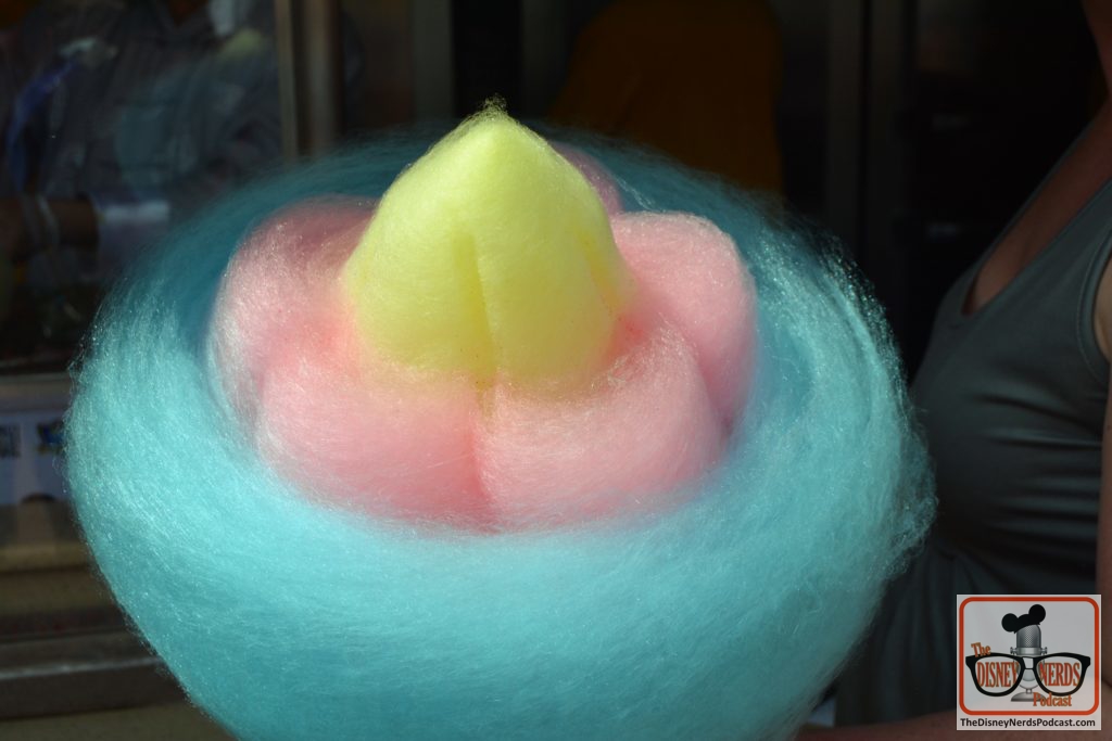 The Disney Nerds Podcast March 11, 2019 Epcot Flower and Garden Photo Report - Cotton Candy Art in China