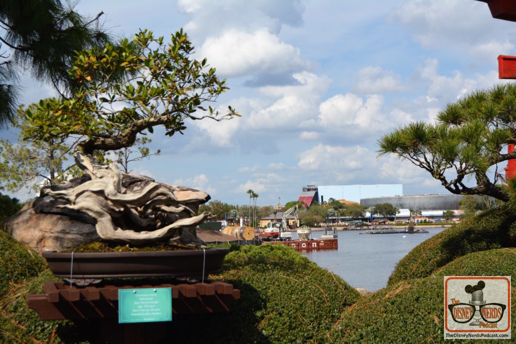 The Disney Nerds Podcast March 11, 2019 Epcot Flower and Garden Photo Report - Bonsai Tree or is it a few lagoon construction, or the guardians coaster construction, you decide.