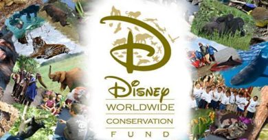 Disney-Worldwide-Conservation-Fund