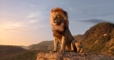 Lion King Protect The Pride Campaign