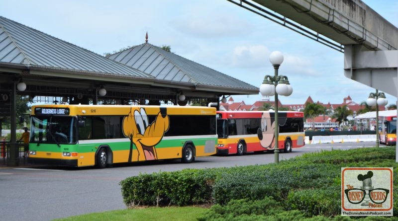 The Disney Nerds Podcast Construction Photo Report - Lots of new Busses at Magic Kingdom