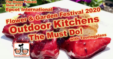 Disney NErds and Toruing Plans at Flower and Garden Outdoor Kitchens