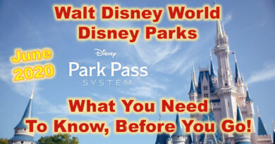 Walt Disney world Park Pass